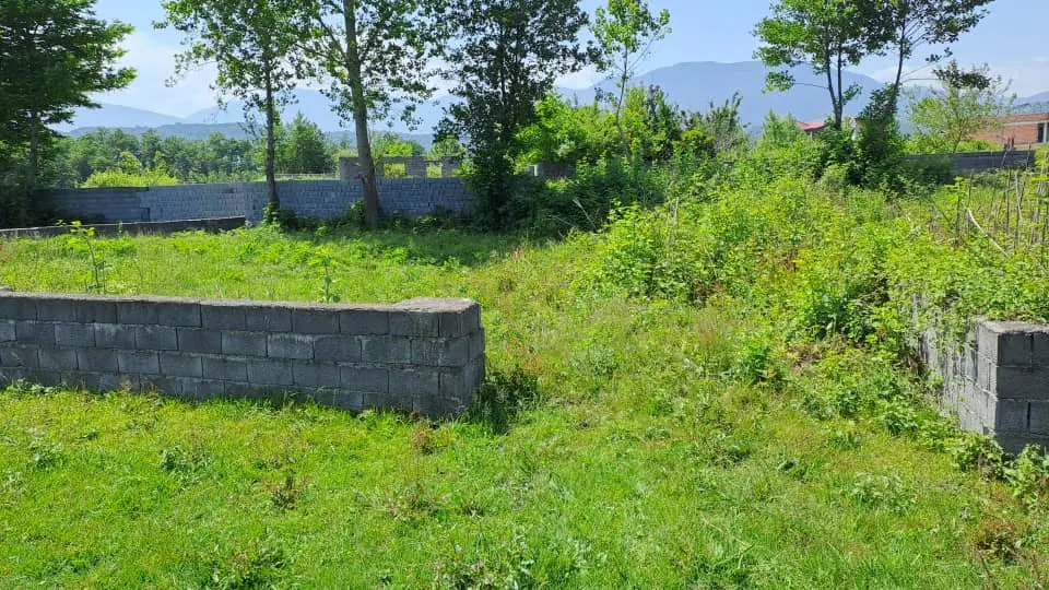 زمین کاسبی