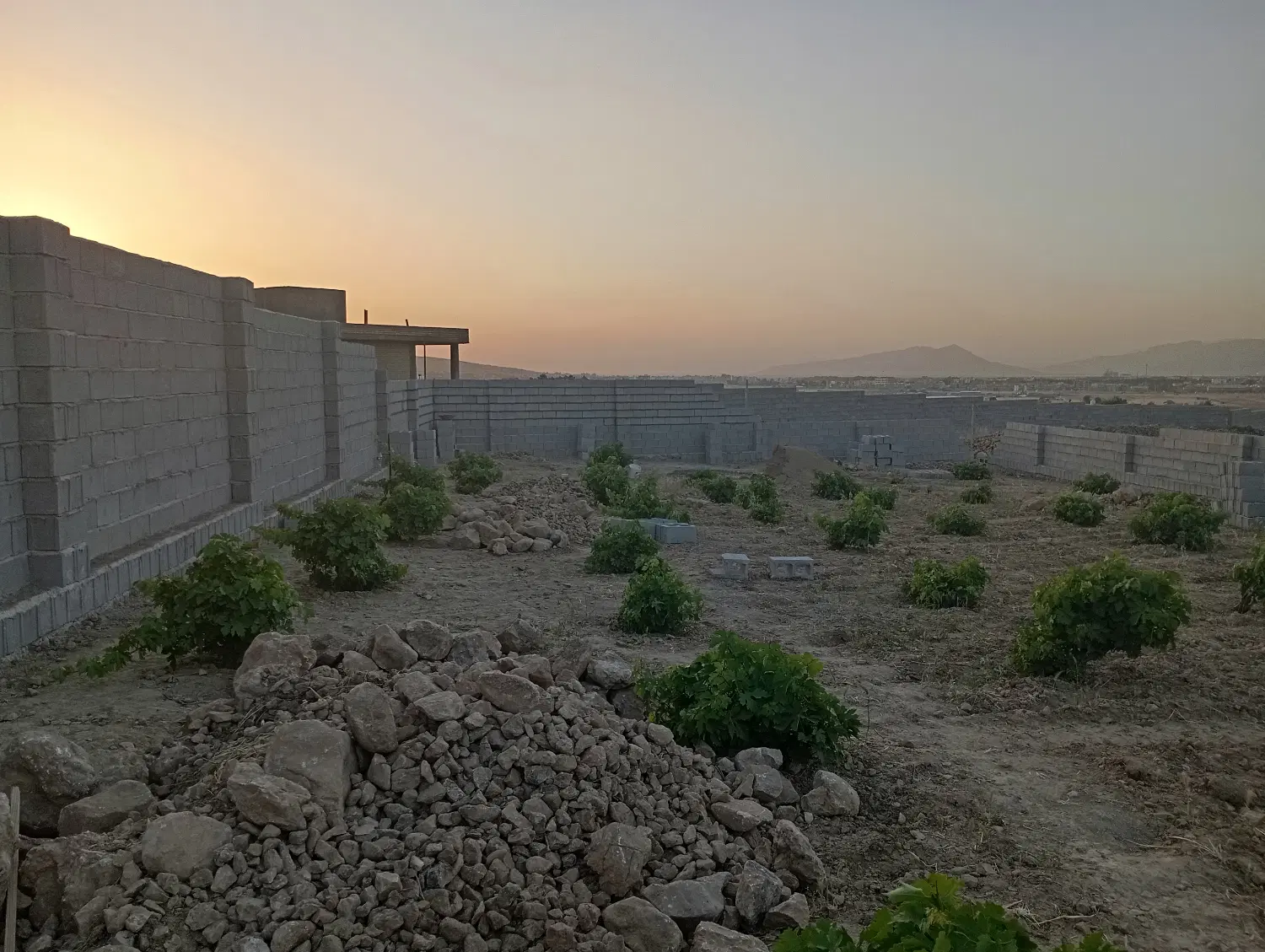 زمین مشاع صدراوگویم