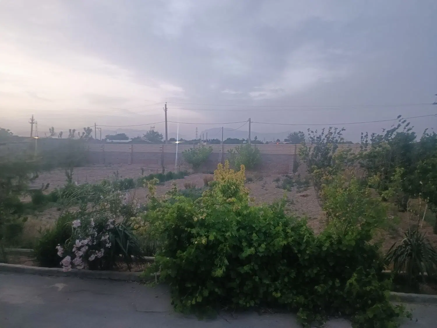 باغ با درختان میوه