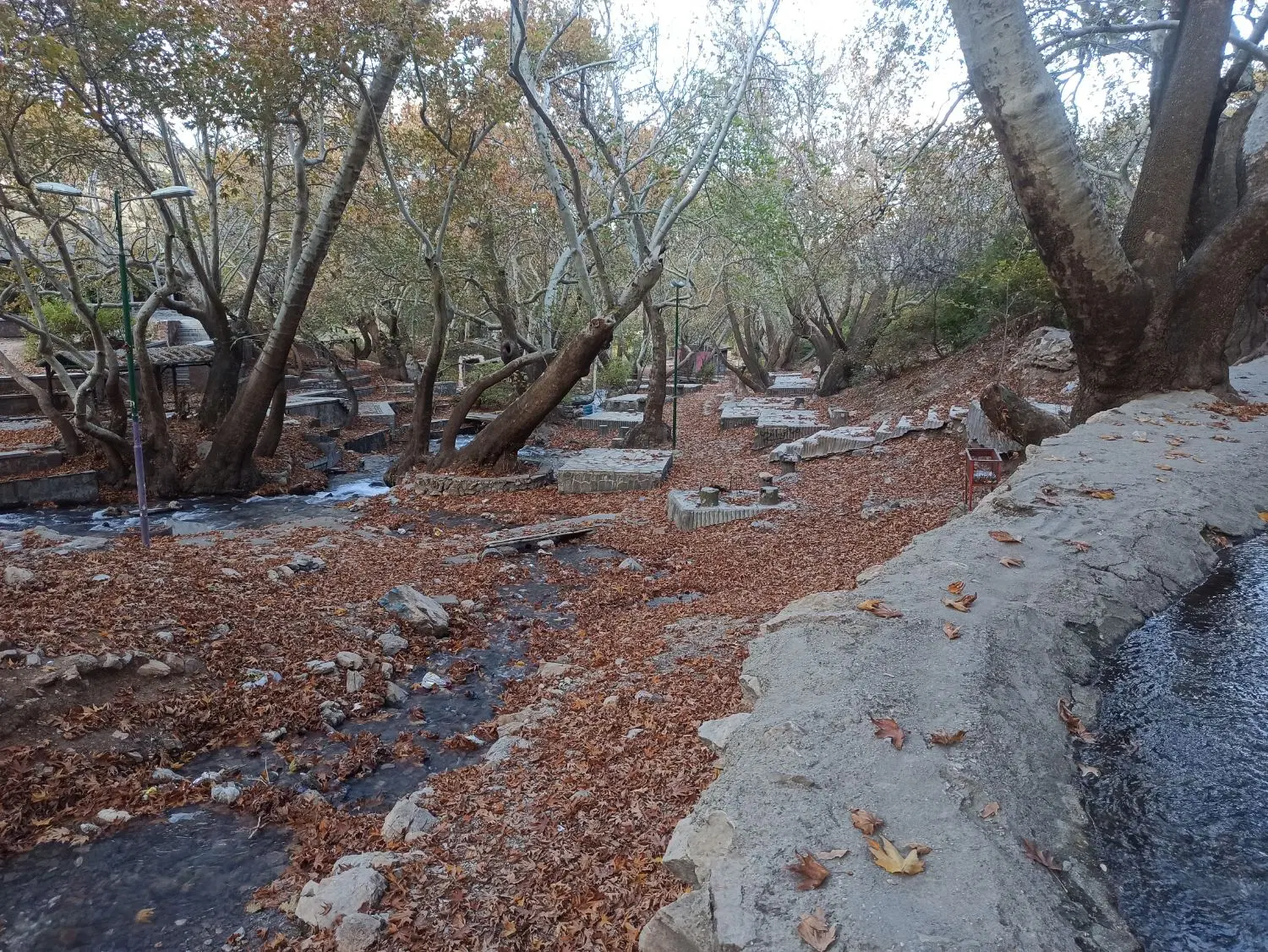 باغ دو جریب
