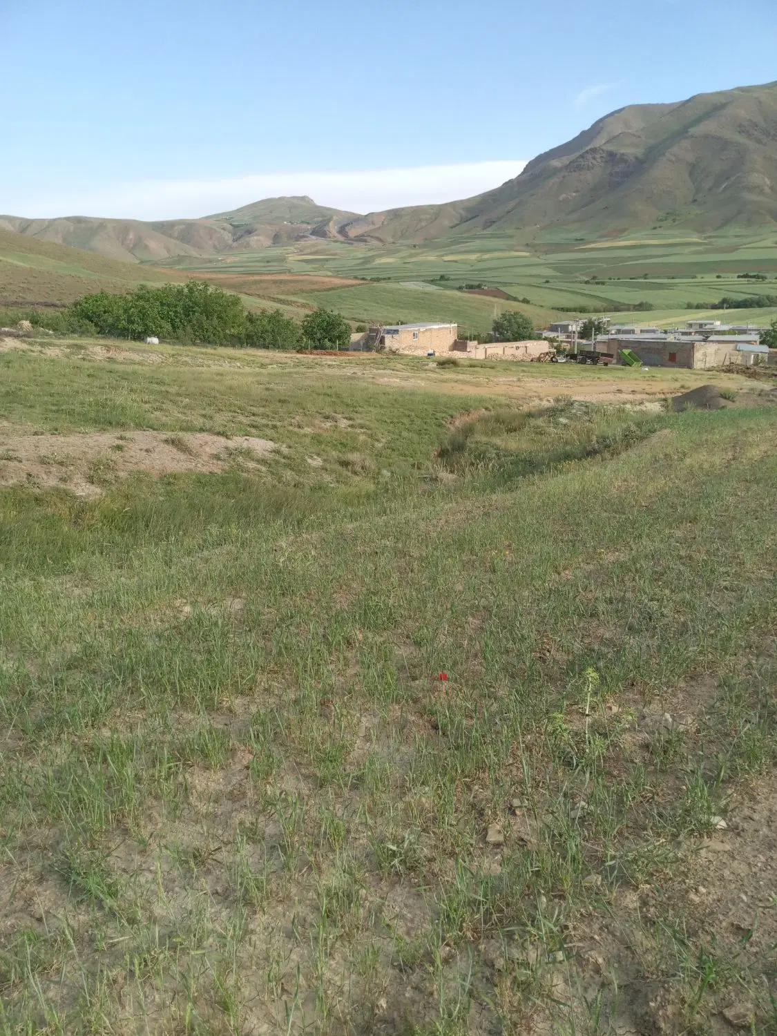 زمین مناسب کشاورزی و باغ روستای عباس آباد