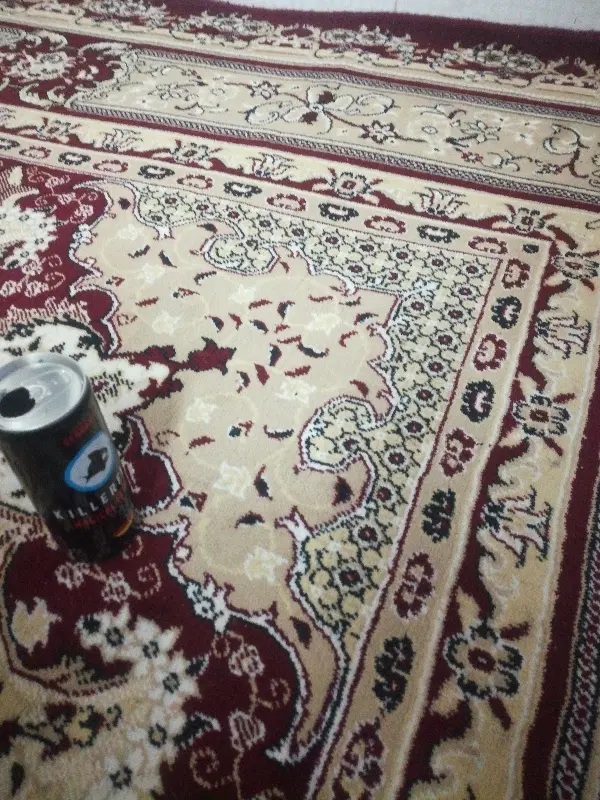 همخونه خانم کاشمر،