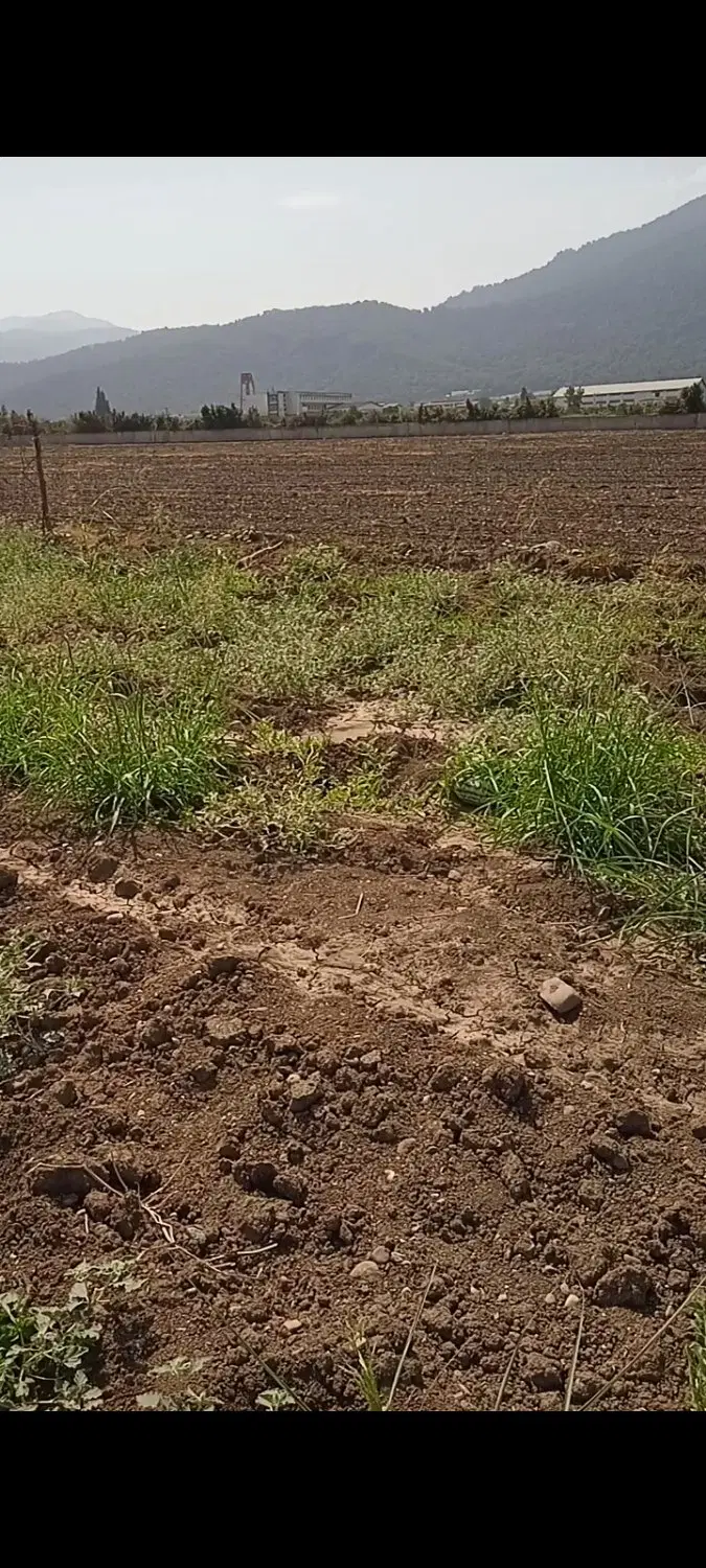 زمین کشاورزی