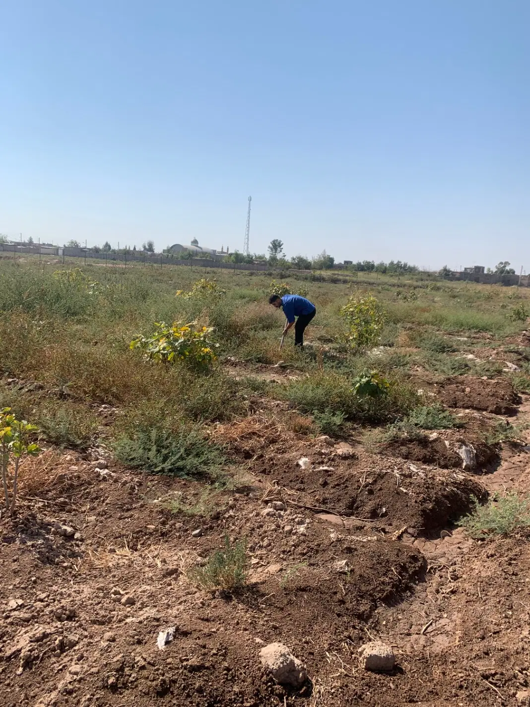 فروش باغچه کار