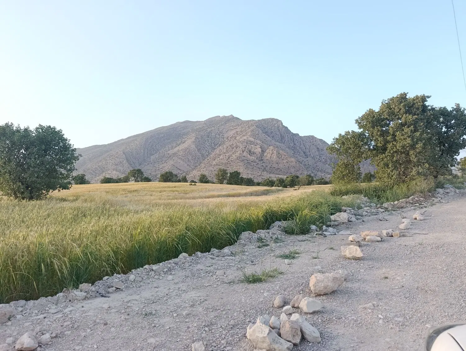 فروش زمین