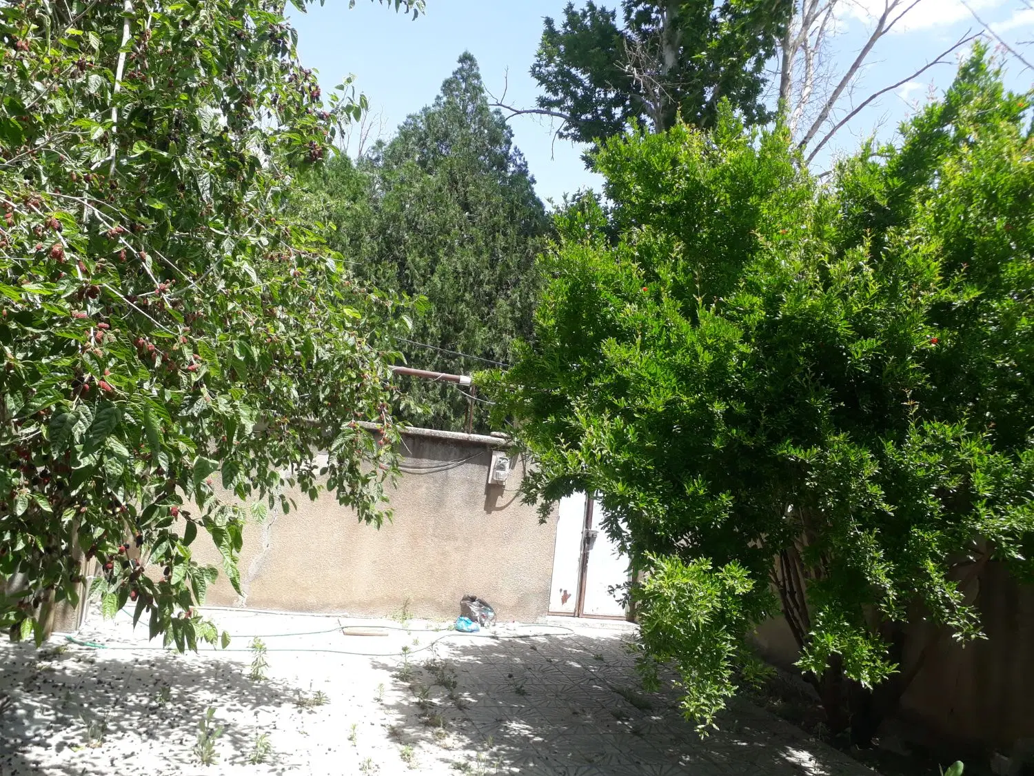فروش آپارتمان ۱۰۰ متری