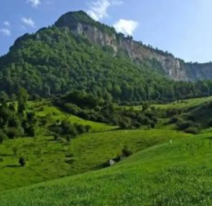 زمین باغی غیربافته
