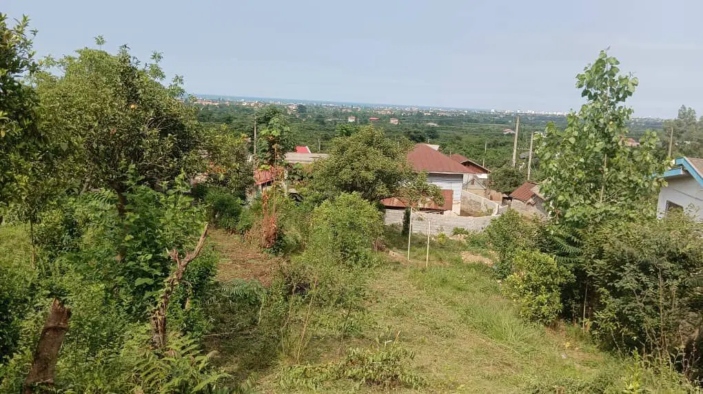 فروش زمین مسکونی روستای درویش سرا تنکابن