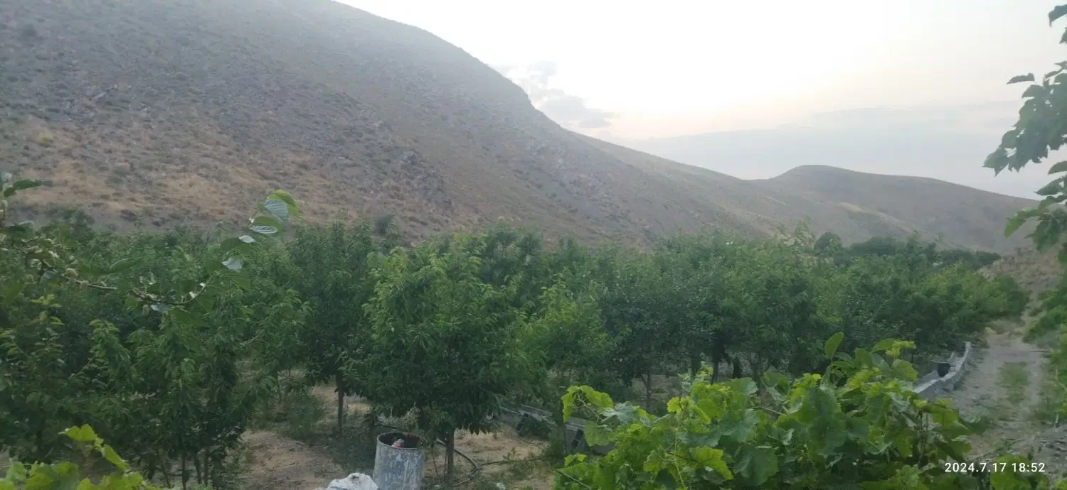 زمین 1200متری کاهو