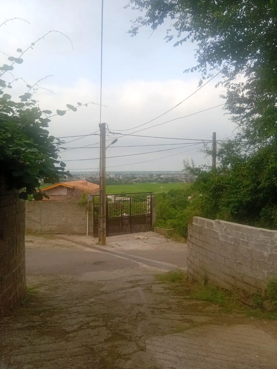 زمین با ویو ابدی