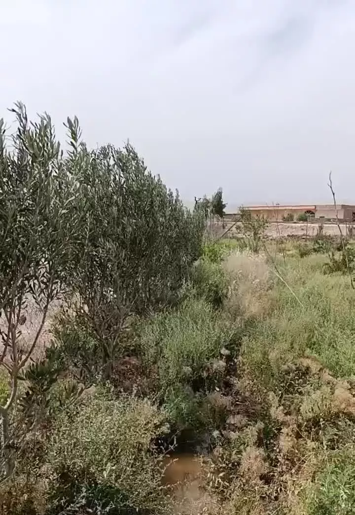 فروش زمین باغی