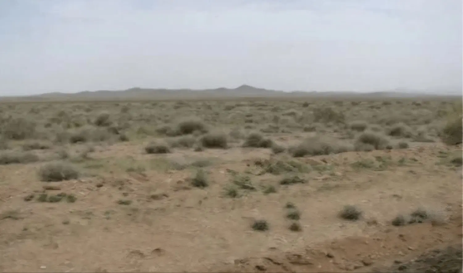 زمین باغ
