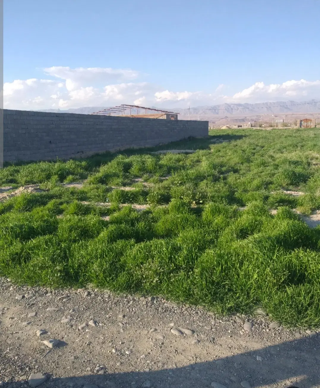 زمین حیطه طلا اراضی کارکنان شرکت برق