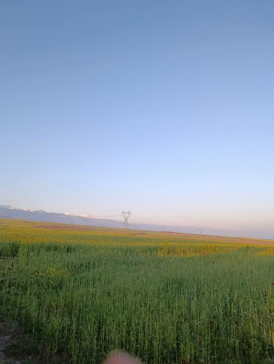 زمین دیم برای ساخت کارخانه