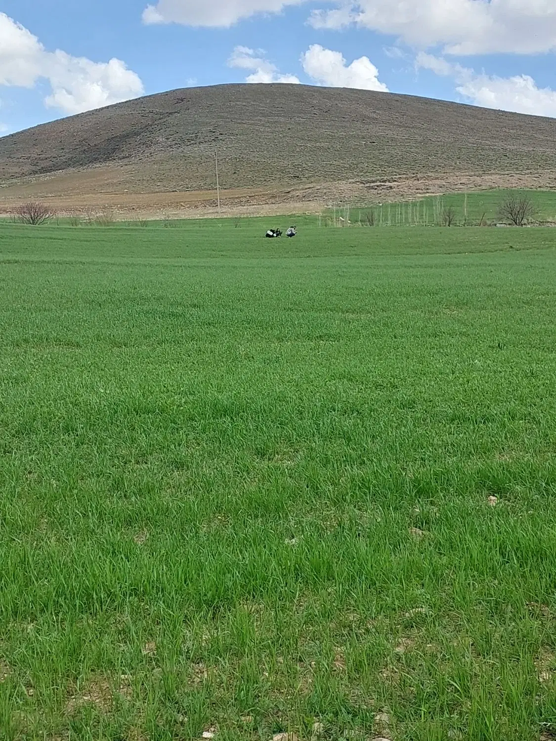 زمین باغی در روستای قز