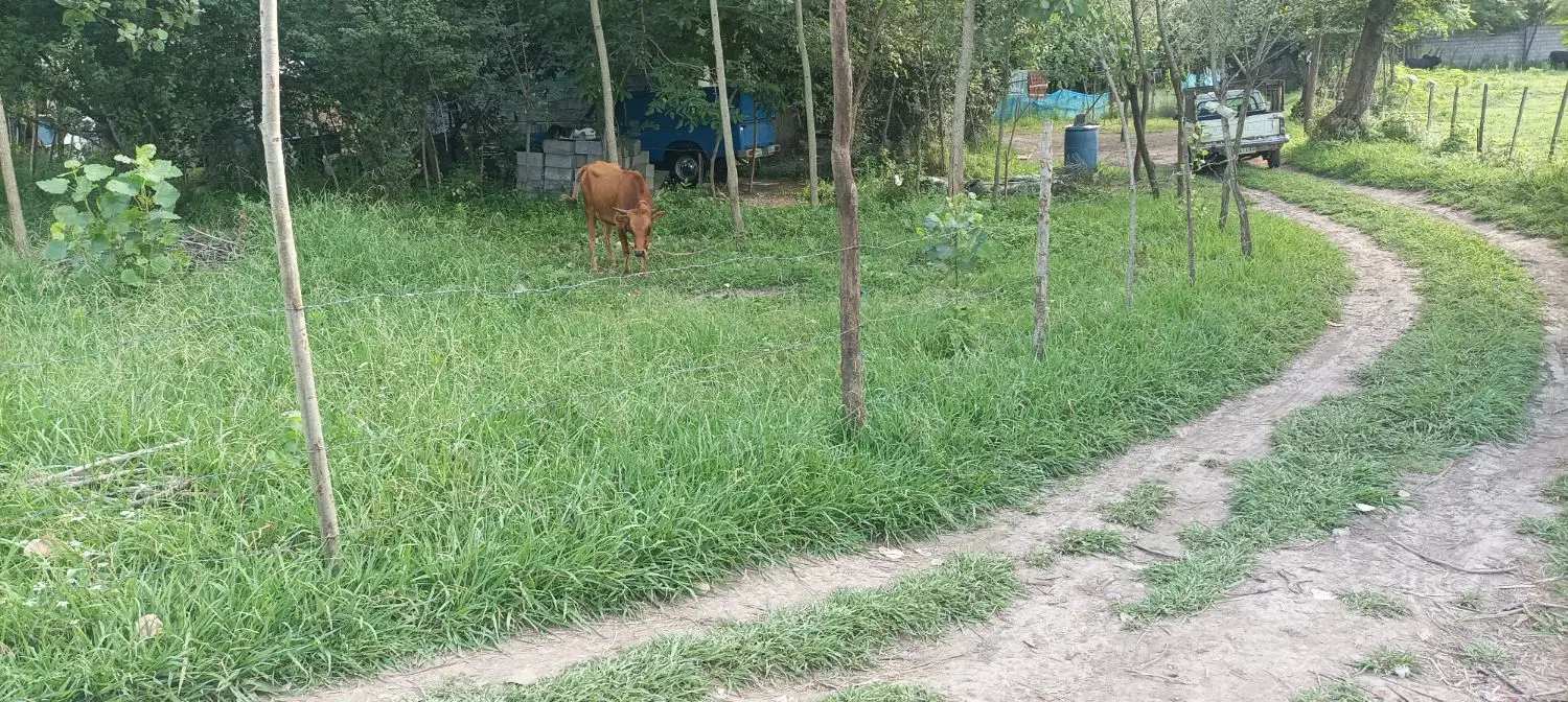 زمین مسکونی در روستای قاضیان سنگر