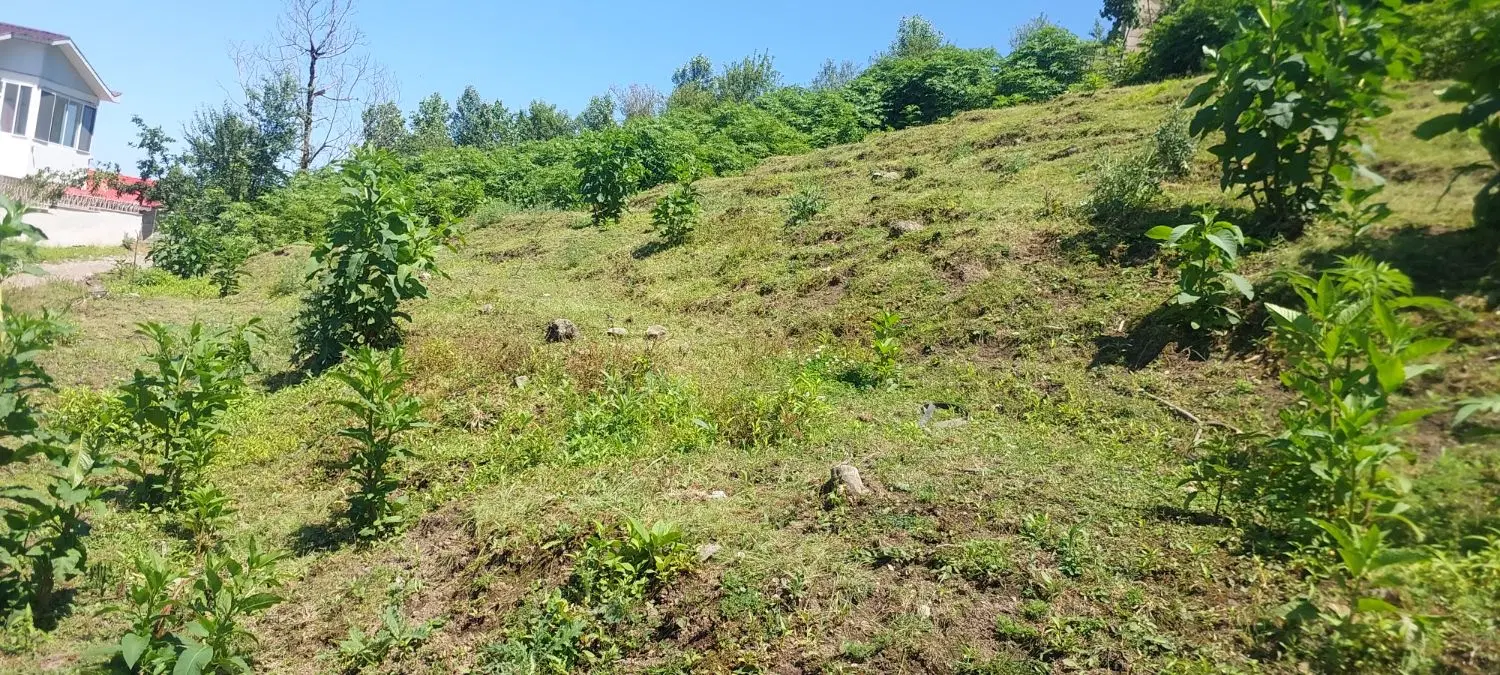 فروش زمین ویلای