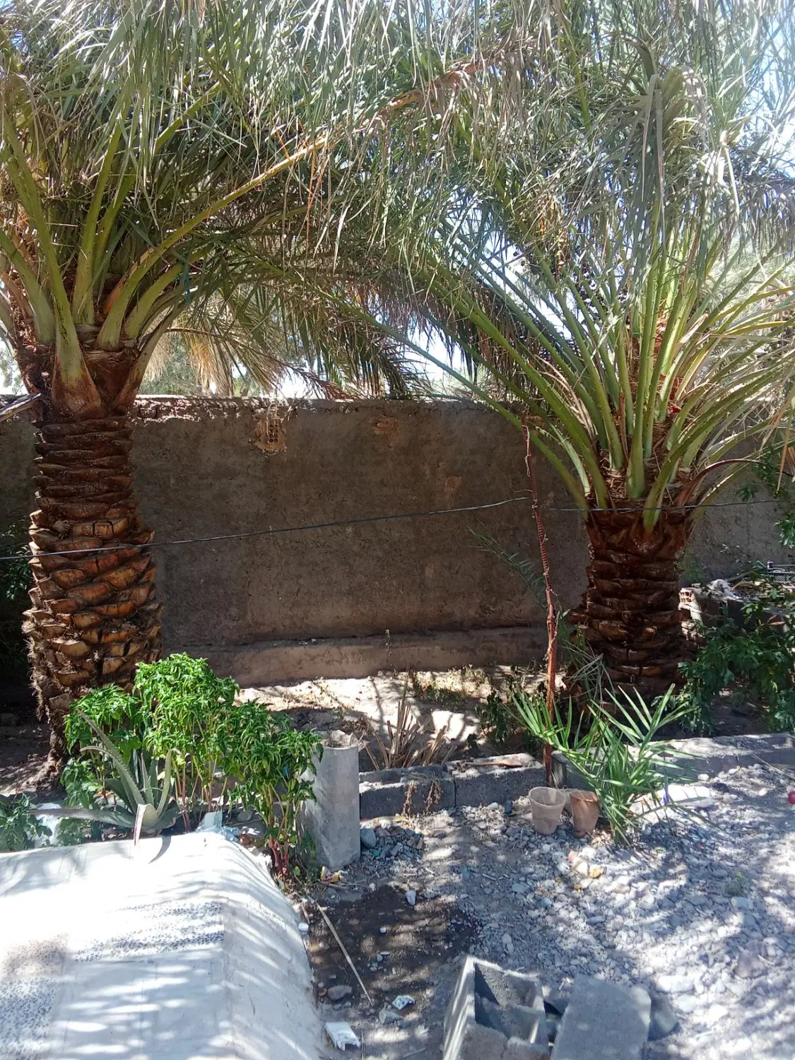 منزل 275متری