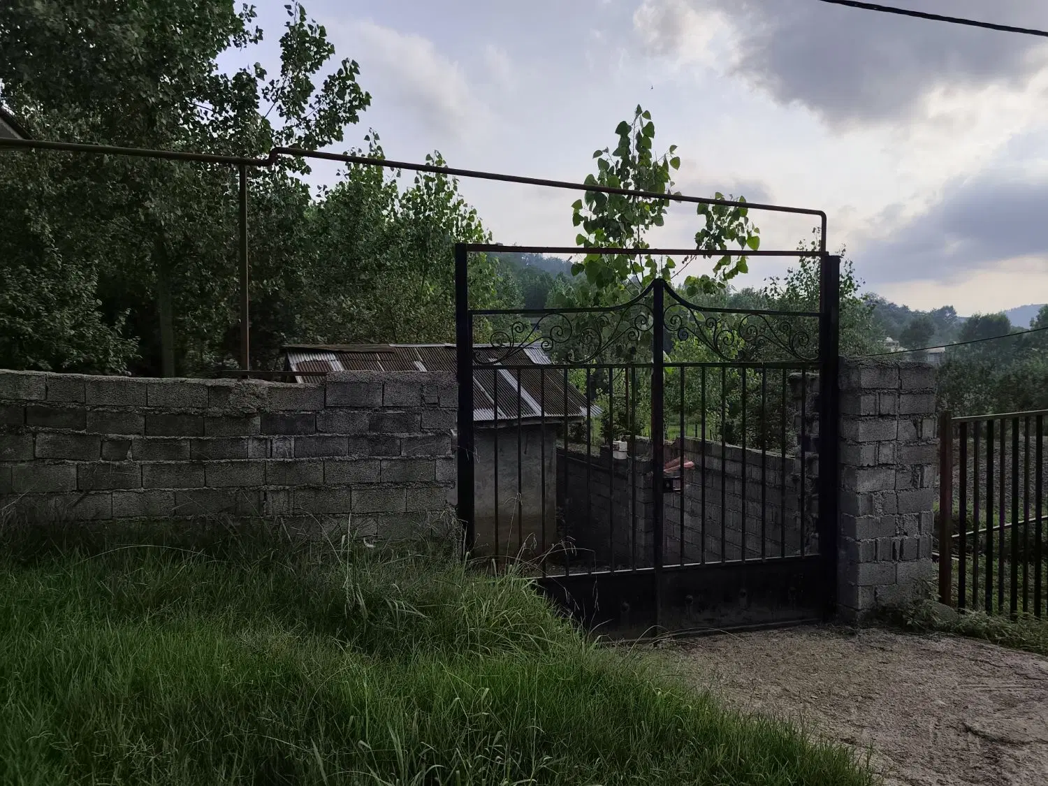 فروش زمین ۸۵۰متر مربع در روستای چلک لاهیجان