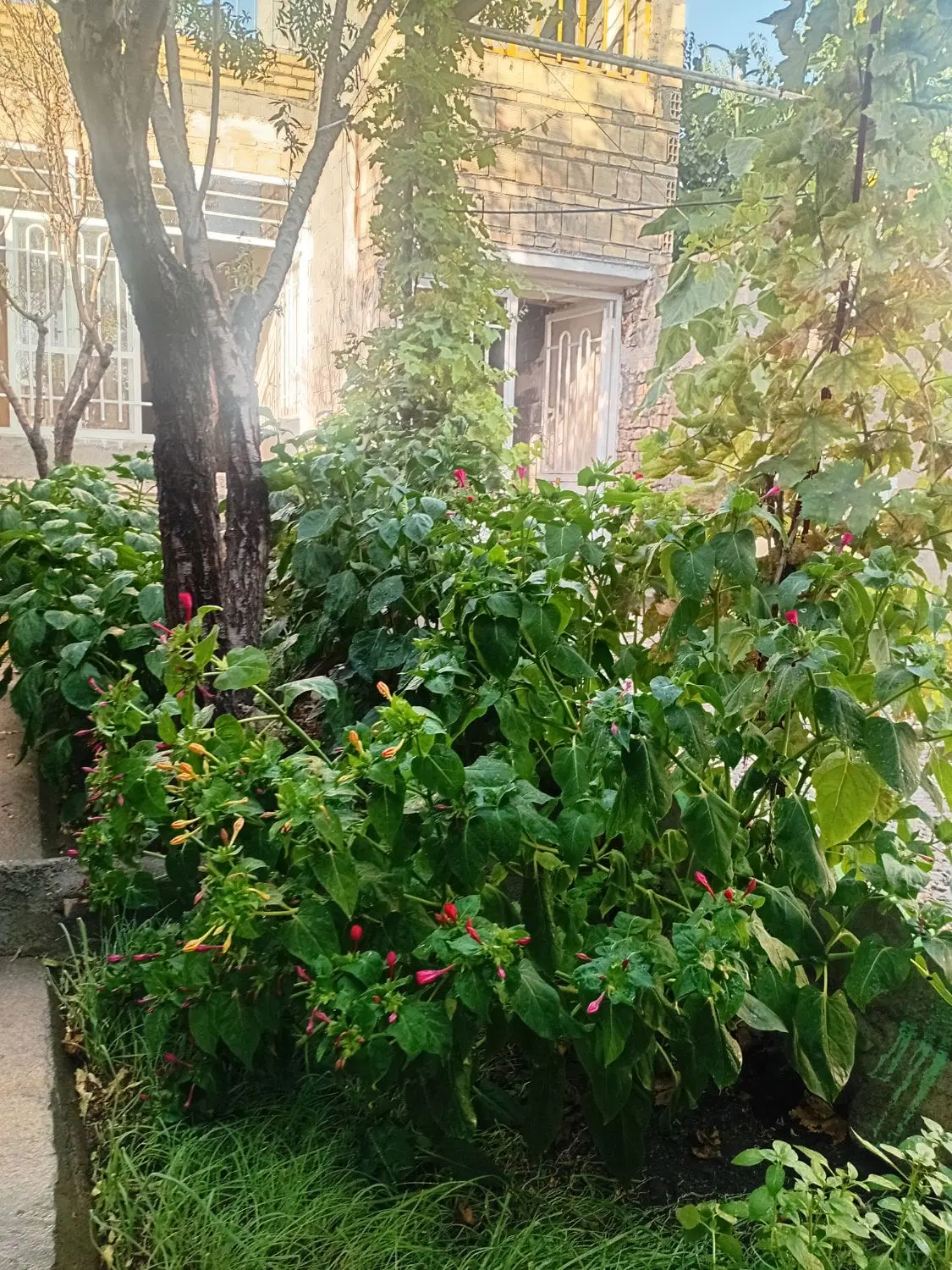 ویلای فروشی