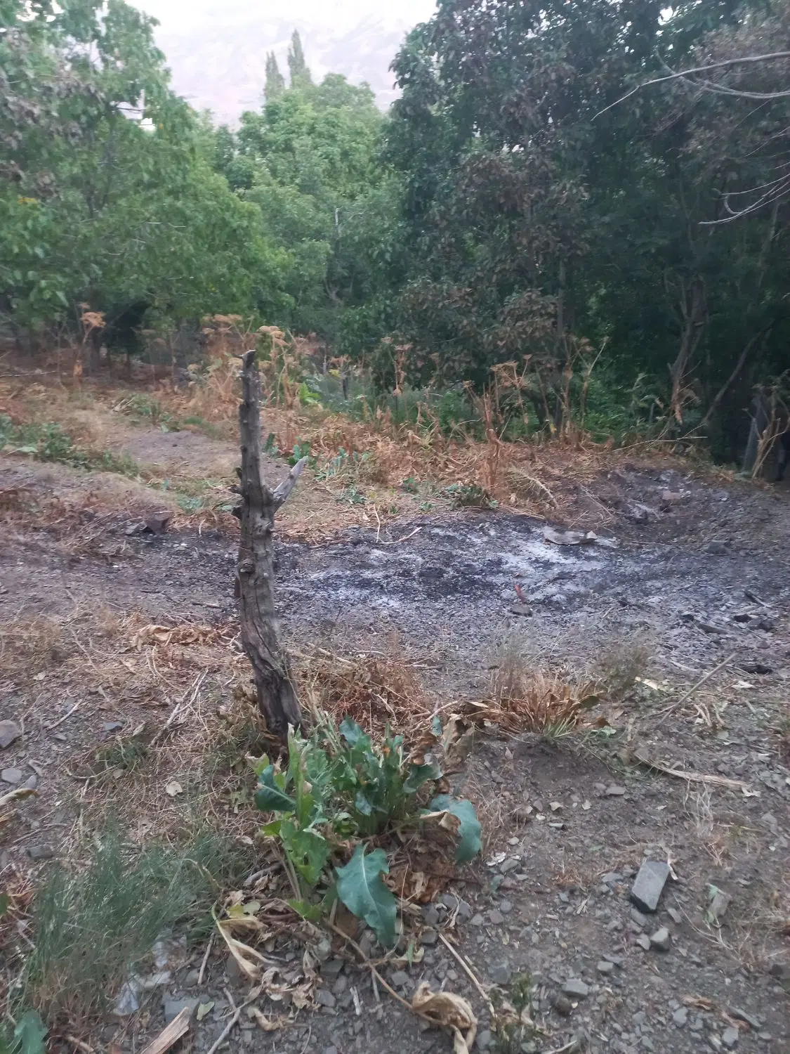 ۷۸۰ متر واقعا در دربندسر زمین کنار ردخانه