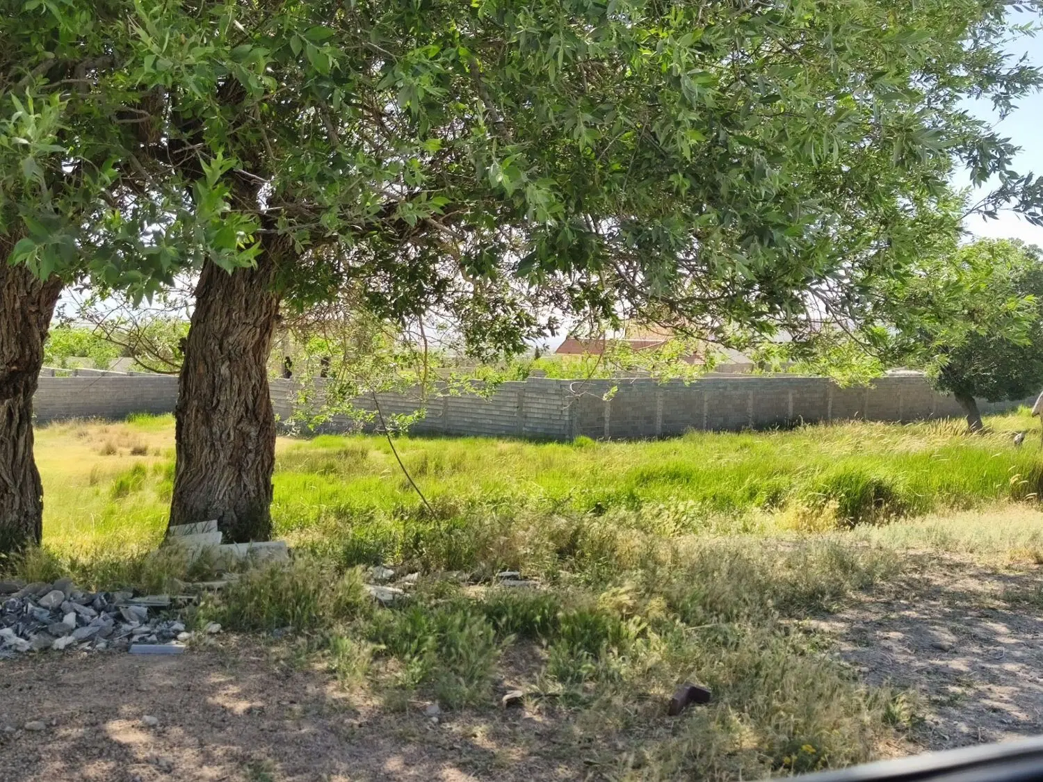 زمین ۶۵۰ متری باغشهری کودیان