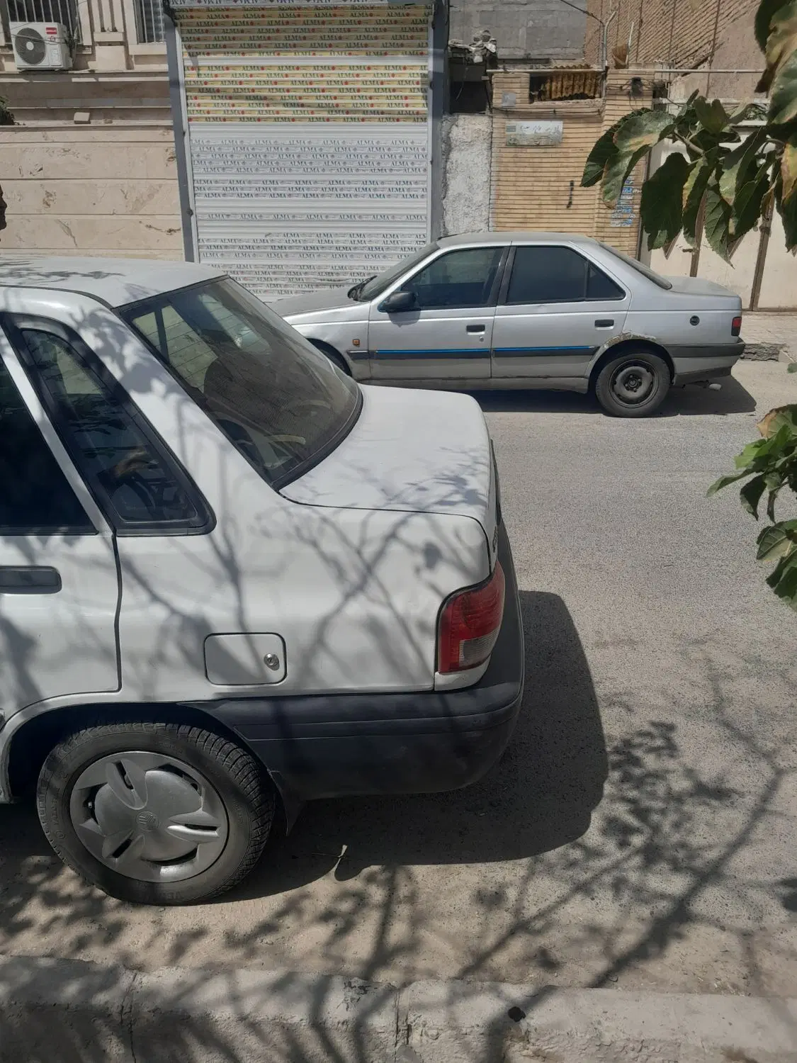۱۰۰متر مغازه پشت بهر خیابان اصلی کامیلیا
