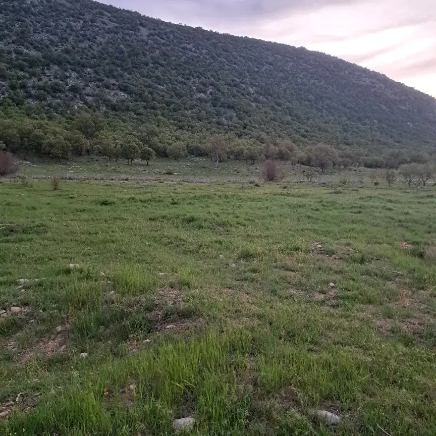 فروش زمین ۱ هکتار