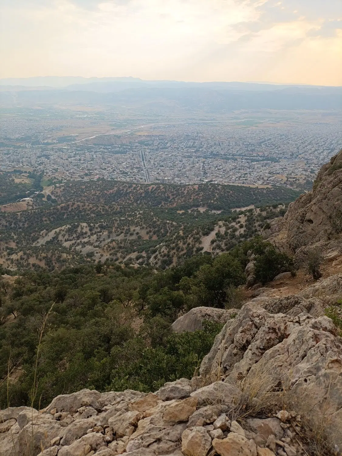 زمین فلکه کوهنود