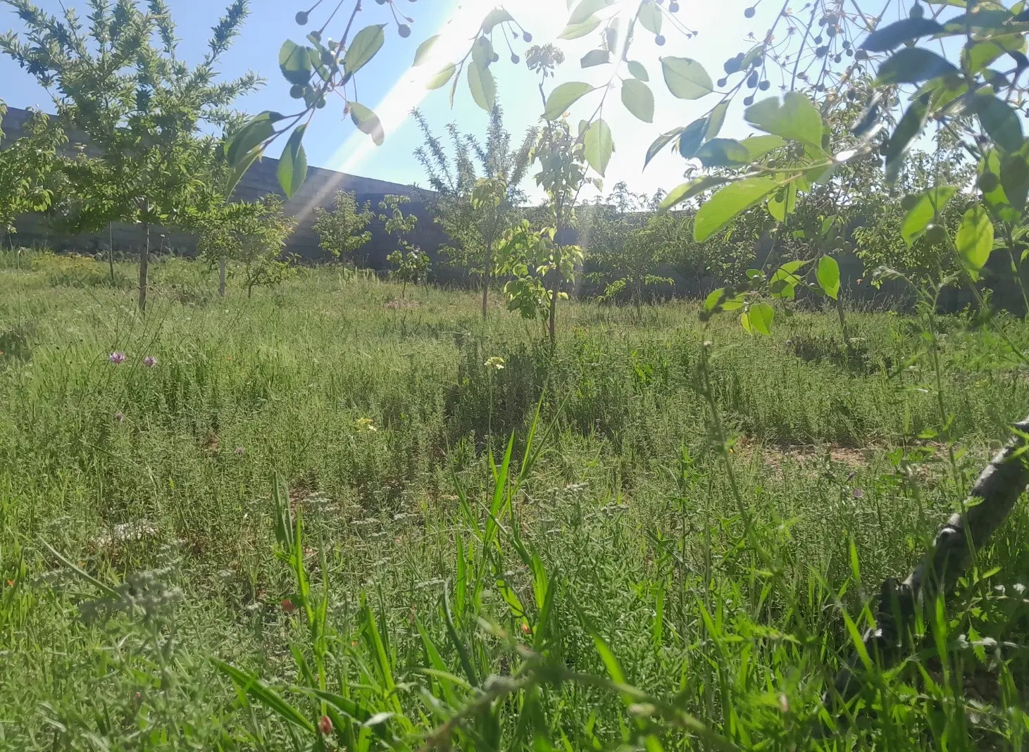 باغ ویلا ۵۳۰ متری روستای زین آباد امند ایوند