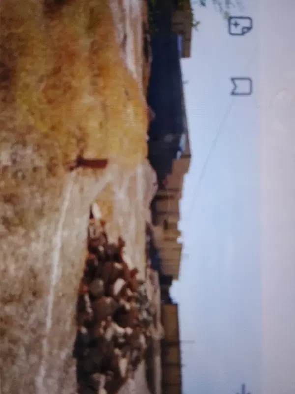 زمین جنب تصفیه خانه