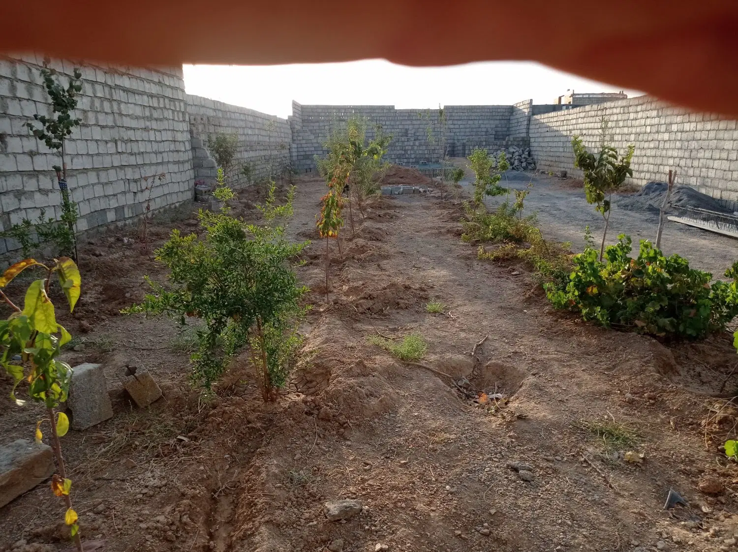فروش باغ