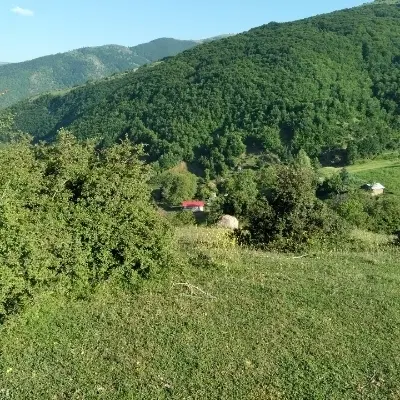 زمین مسکونی محمود آباد نمونه