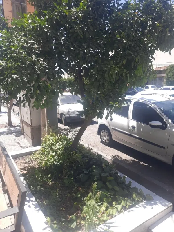 فروش باغ شهری