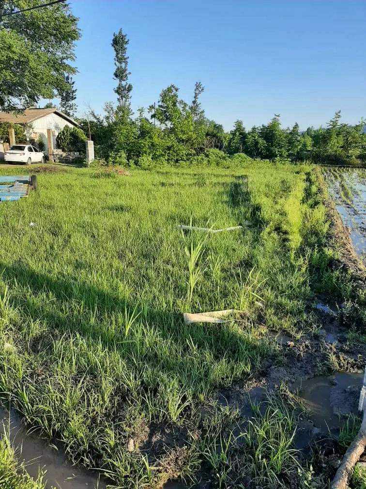 زمین فروشی دادای مجوز ساخت