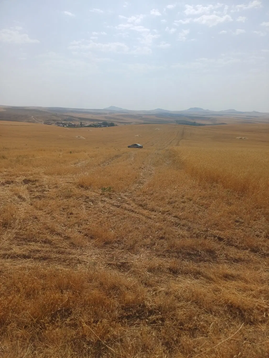 زمین کشاورزی ۸ عدل لیلاخ روستای حقه