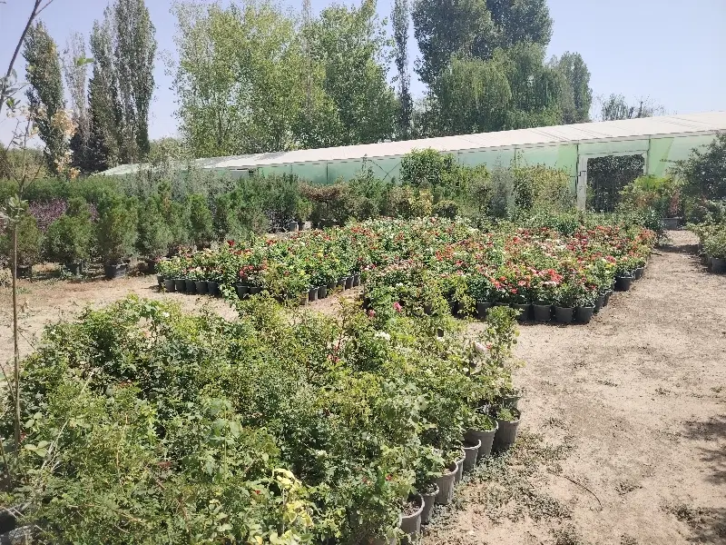 زمین و باغچه ویلایی