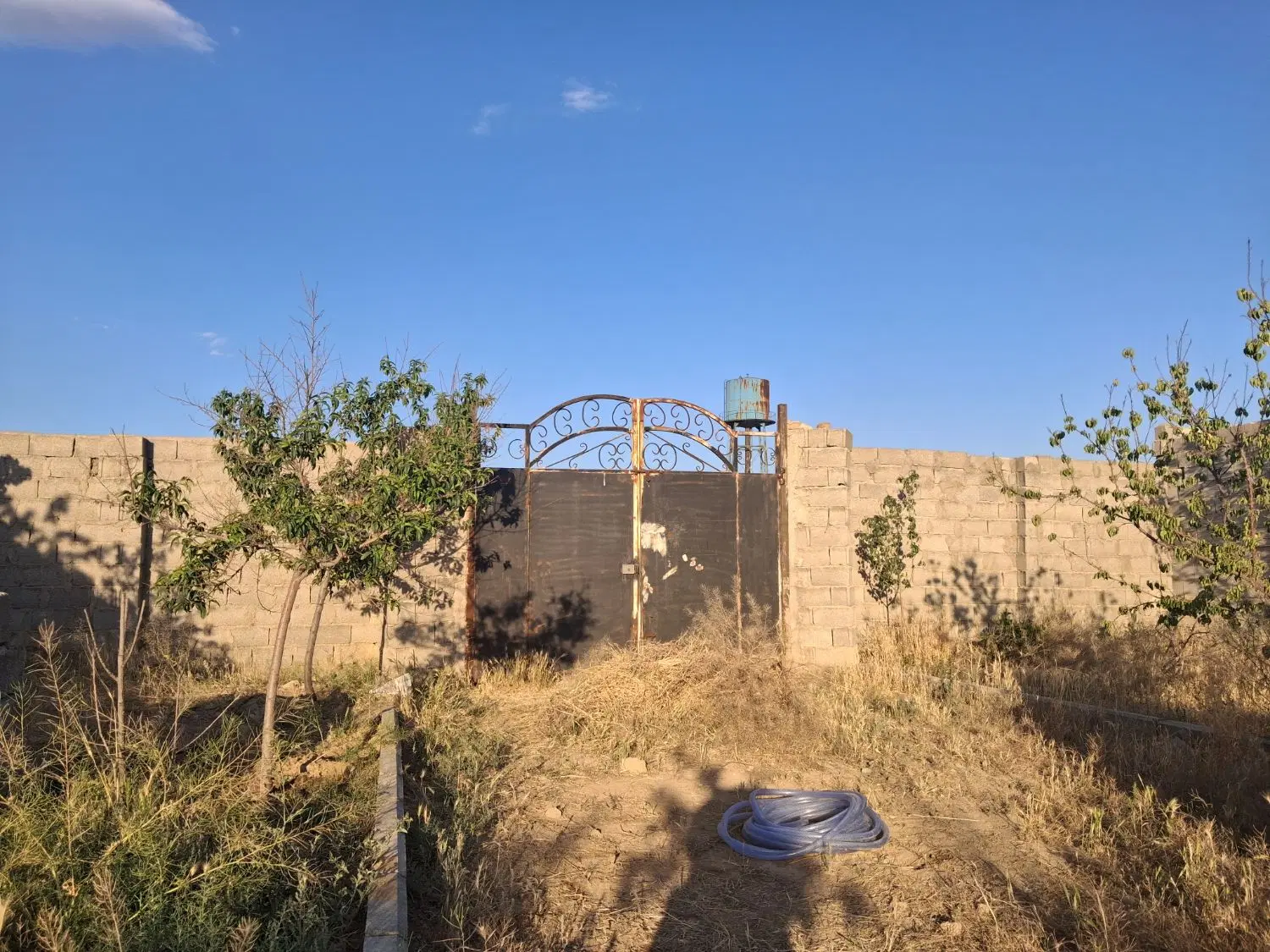 باغچه ۶۰۰ متری