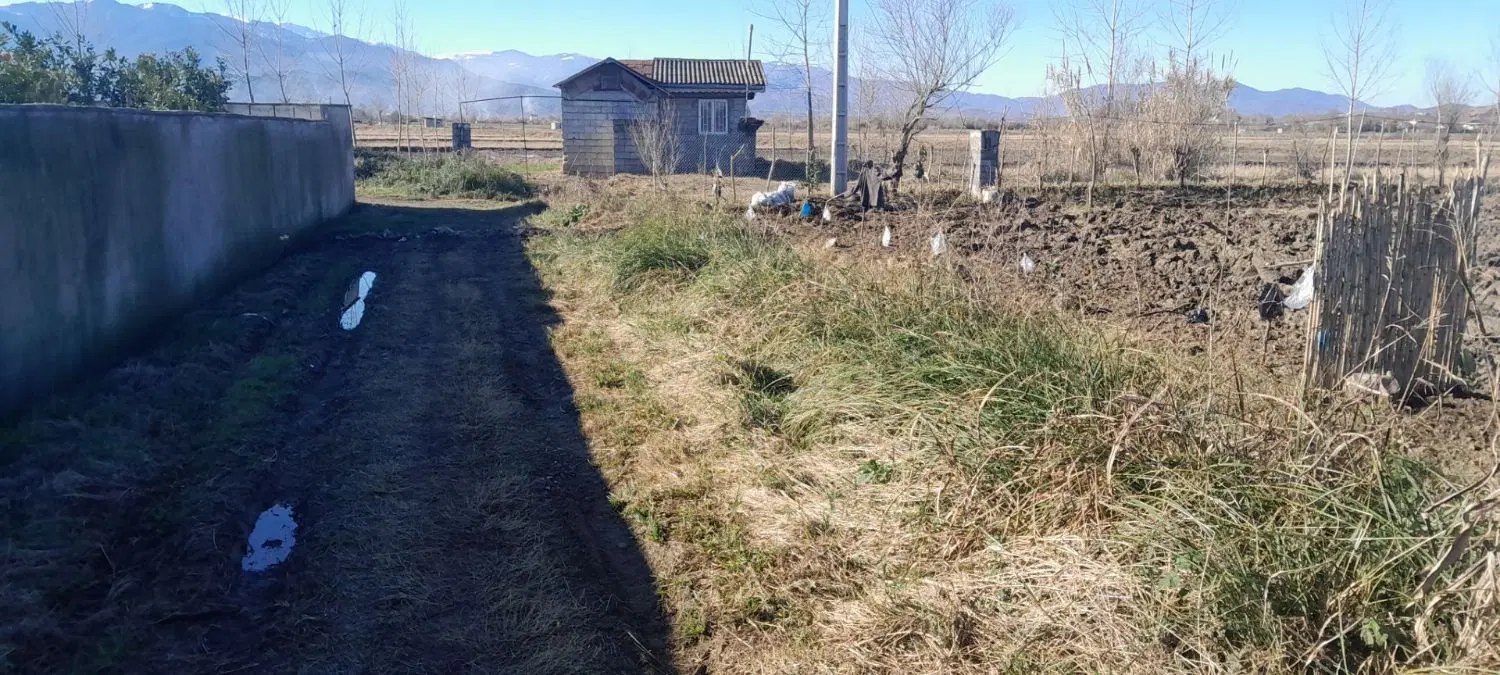 زمین به مساحت ۱۰۰۰متر باغی