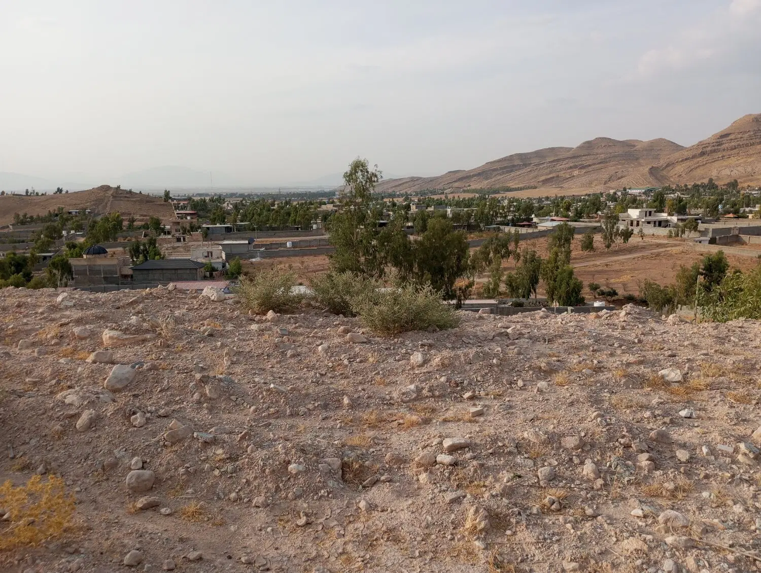 زمین باغی