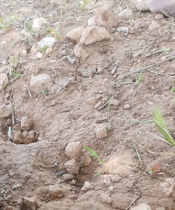 زمین ساختمانی
