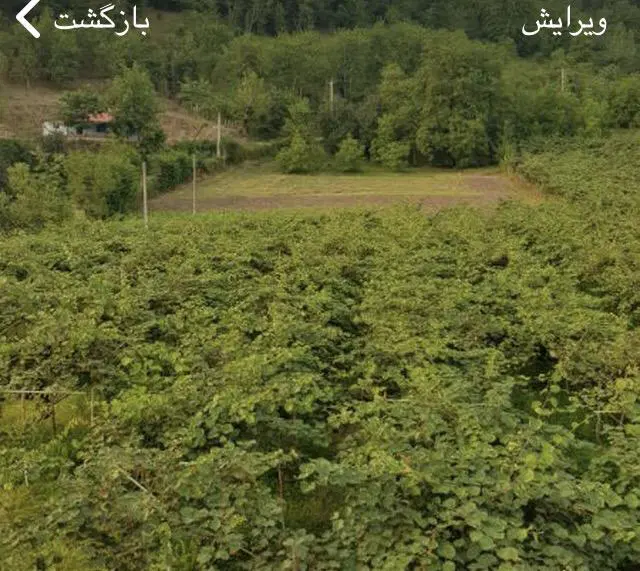 ۳۰۰۰ مترمربع زمین کاملا مسکونی در خطبه‌سرا