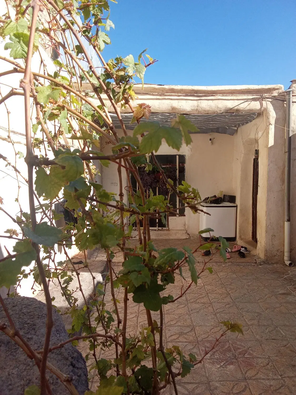 خانه نصف قیمت