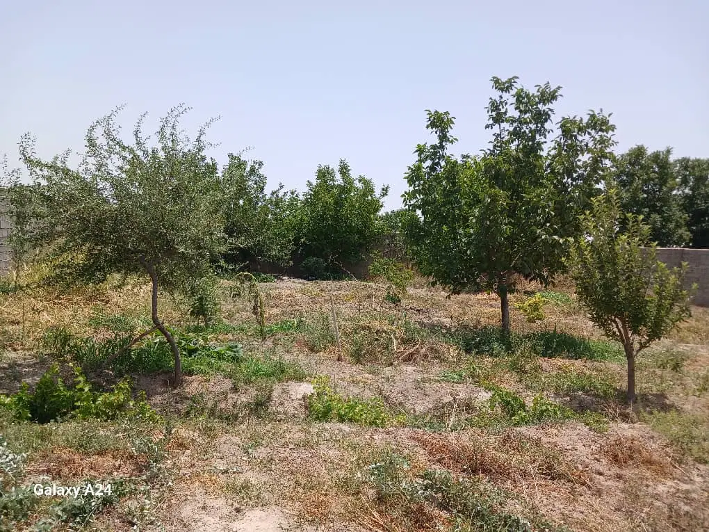 باغ فروشی سندتکبرگ ۳۰۰ متر شهریار کهنز