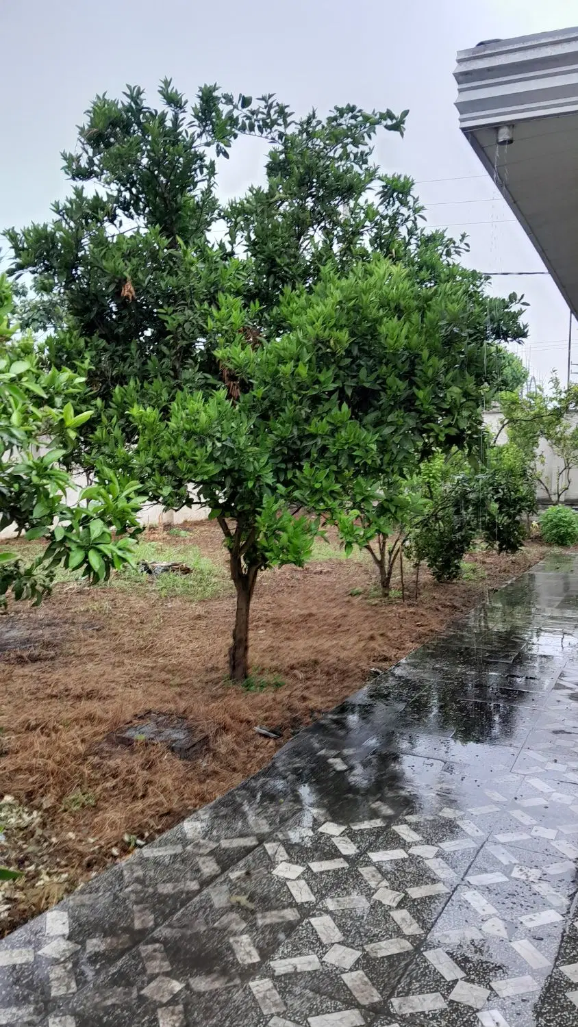 فروش زمین درقنات ناصری