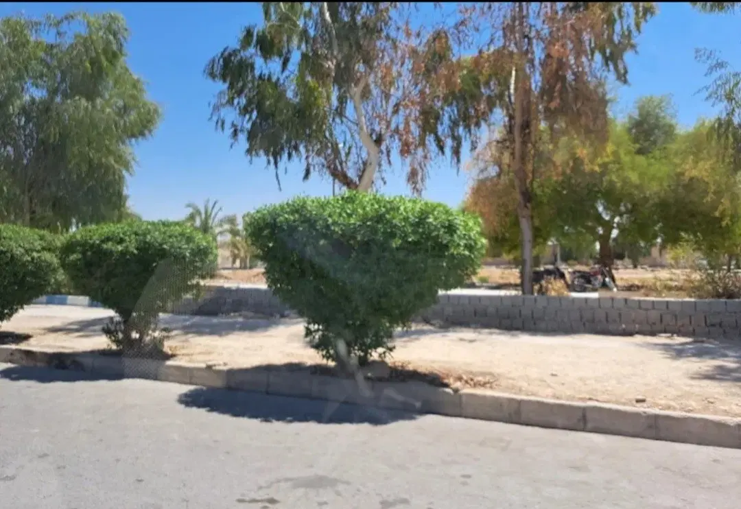 زمین ۳۳ گزی تختی