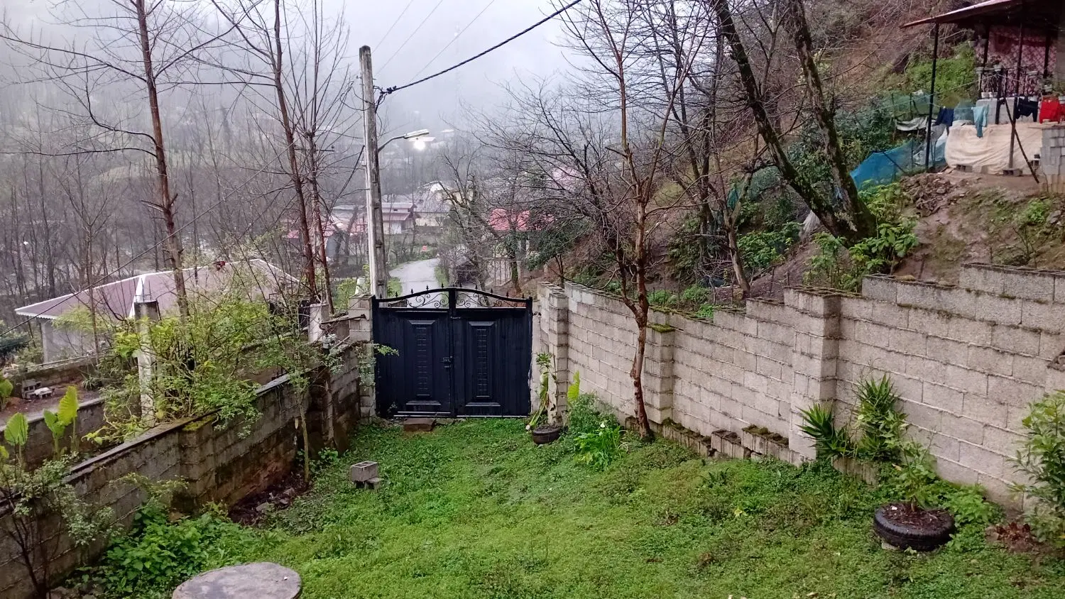 خونه در دل جنگل