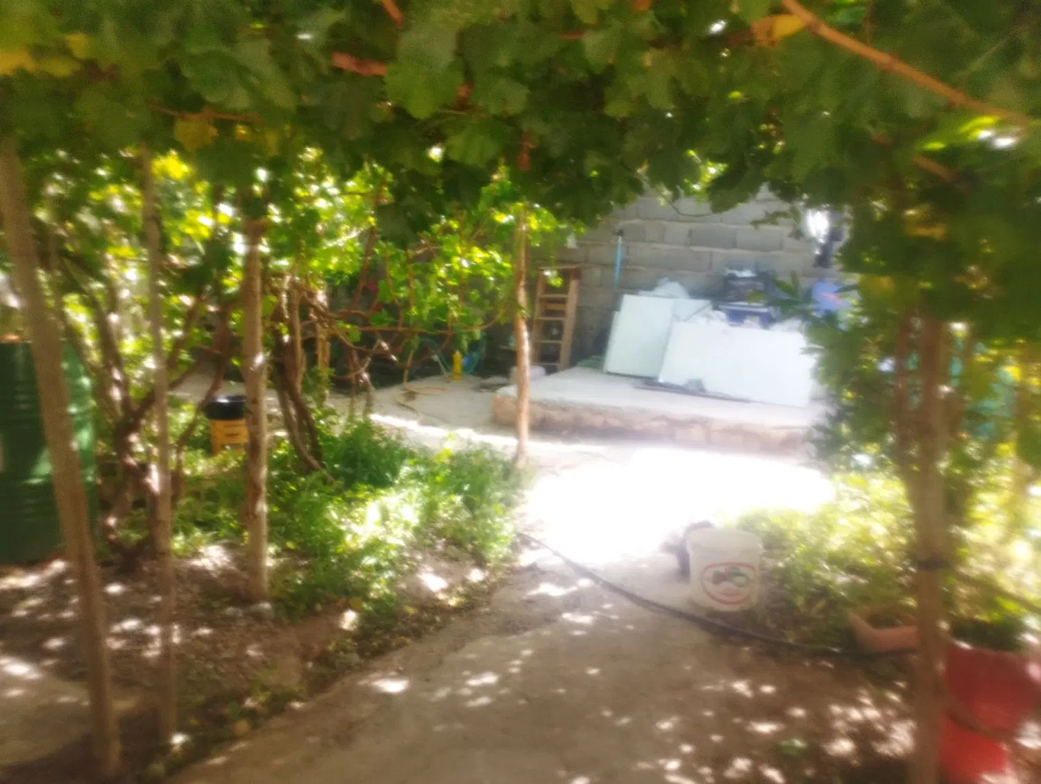 اتاق اجاره ای