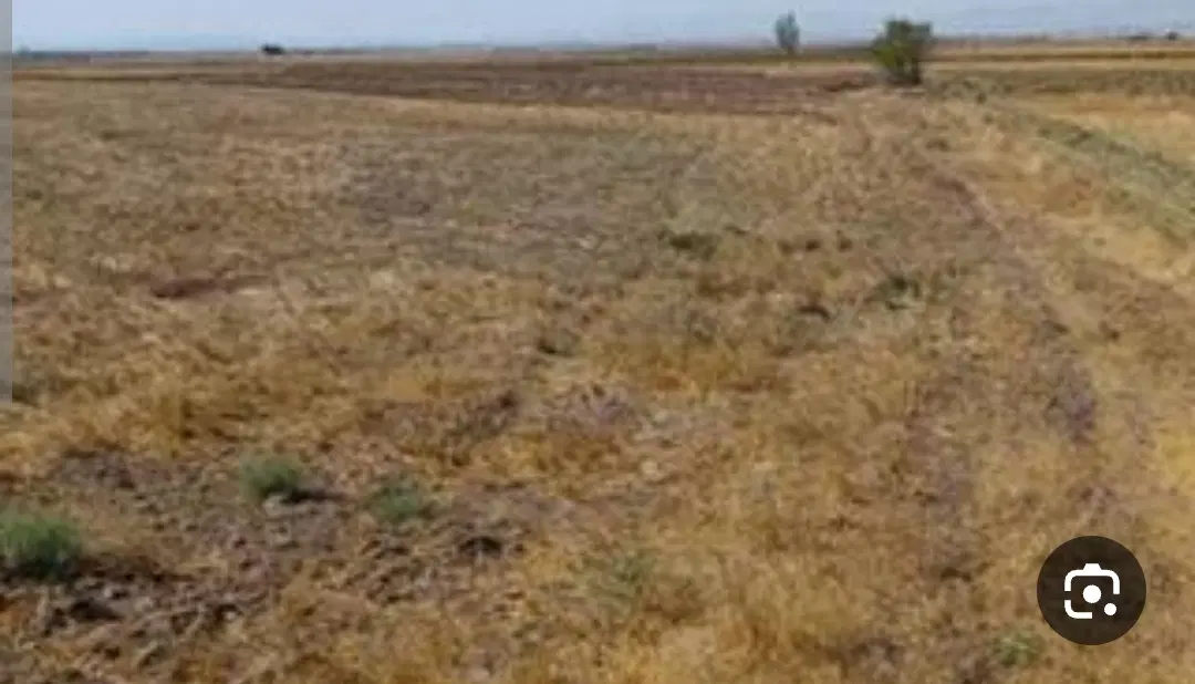 زمین کشاورزی ۱۷هزار متر