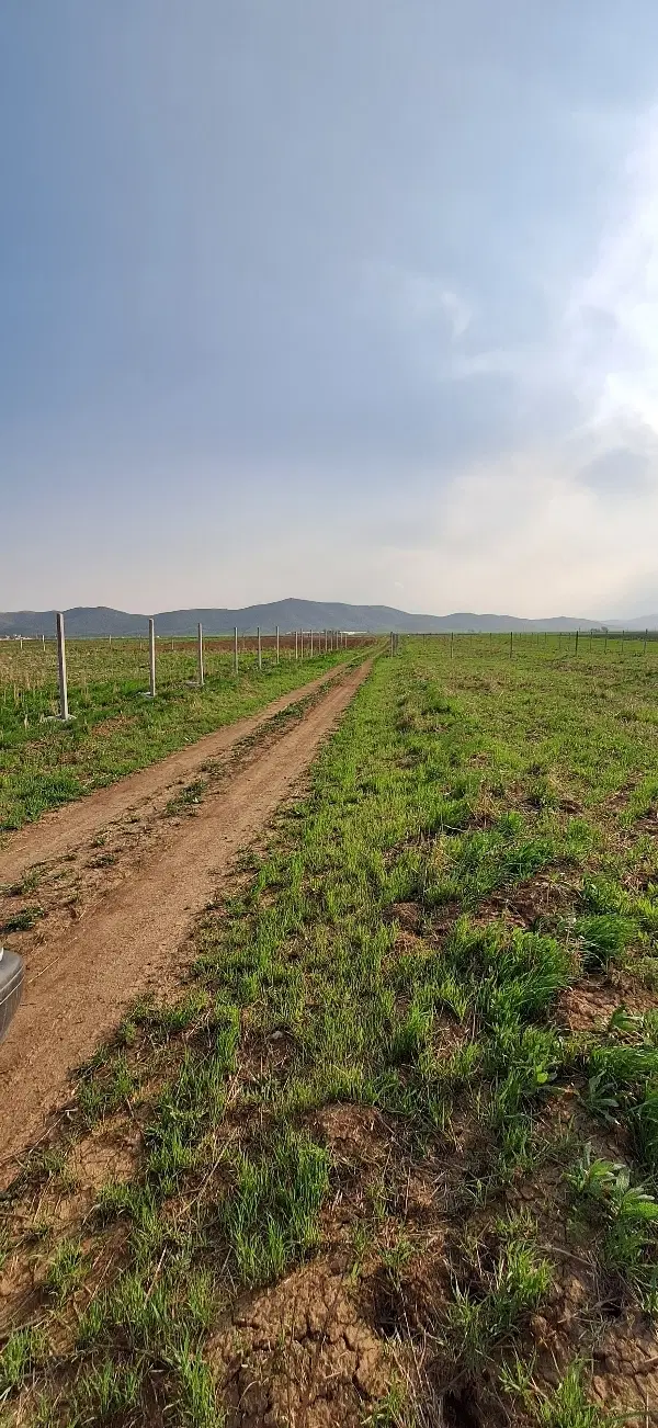 ۱۰۰۰متر زمین برای کشاورزی و باغچه